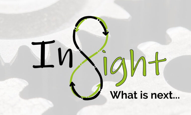 Read more about the article What is next within the INSIGHT project