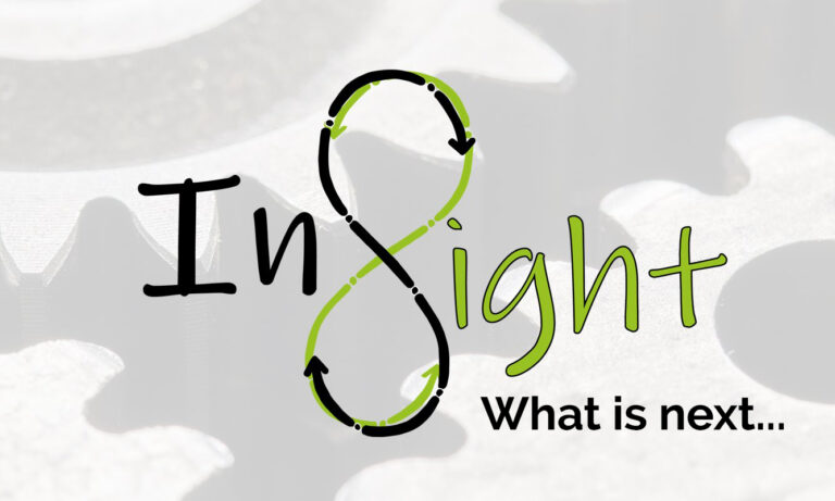Read more about the article What is next within the INSIGHT project